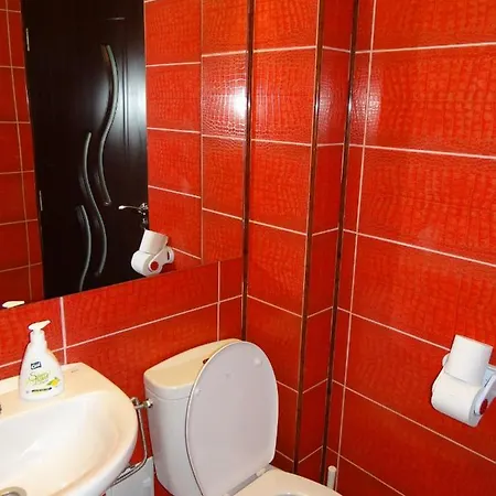 Casa Marea Neagra 科斯蒂内什蒂